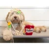 71ce6fda08e92ae1b5fc095a5f9c887d.webp Dog Toys – Snuffle Noodle Cup Interactive Feeding Toy