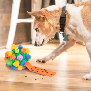 cn-11134207-7r98o-llhl8ipcr4lw17.webp Rainbow Felt Snuffle Ball – Interactive Puzzle Feeder Dog Toy