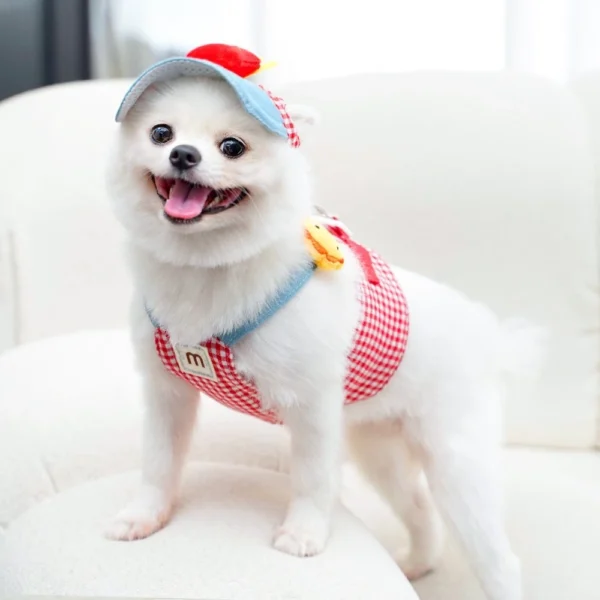 Chest Strap Pet Traction Rope Set with Sunshade Hat – Outdoor Wearable for Cats & Dogs
