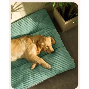 cn-11134207-820l4-mmb68bt69s0305.webp Super Comfy Fully Removable and Washable Pet Bed | Thick and Soft Dog Cat Mattress
