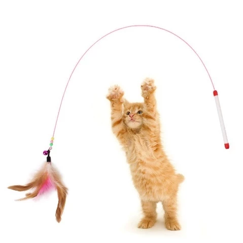 my-11134207-7ras8-m16h27xnu5pd54.webp Colorful Feather Bell Cat Teaser Stick Toy