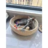 Pet Bed, Rattan Cat Bed, Woven Cat Bed, Woven Pet Bed, Cat Bed, Dog Bed, Cat Scratching Board