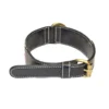 my-11134207-820l9-mo83625mmznp33.webp Premium Top-Grain Cowhide (Single Layer) Dog Collar – Display Unit