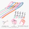 sg-11134201-22110-a8wujdukxojv75.webp Pet Adjustable Collar & Leash Set – Small & Medium Dogs