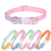 sg-11134201-22110-jtbv0cukxojvbe.webp Pet Adjustable Collar & Leash Set – Small & Medium Dogs