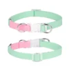 sg-11134201-22110-wxd1raukxojvce.webp Pet Adjustable Collar & Leash Set – Small & Medium Dogs