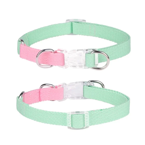 sg-11134201-22110-wxd1raukxojvce.webp Pet Adjustable Collar & Leash Set – Small & Medium Dogs