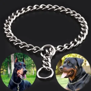 sg-11134201-7rbnf-lmlcbzbkkah14c.webp Pet P Snake Chain Collar Dog Choke Collar Stainless Steel Slip Chain for Dogs Adjustable Dog Training Choke Collar For Bulldog