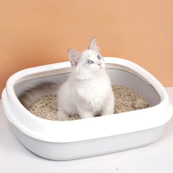 Fast Clumping Tofu Cat Litter – Low Dust, Odor Control Cat Sand (6L)