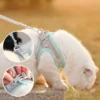Cat Traction Rope Anti-breakaway Vest Type Breathable Reflective Pet Chest Strap Small Dog Walking Cat Rope Pet Supplies