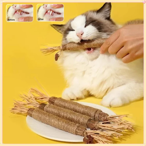 Cat Chew Stick – Natural Teeth Cleaning Silvervine & Hemp Rope Toy (21cm)