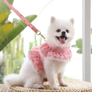 sg-11134201-7rend-m83k3pgpqco2cb.webp Fresh Cute Pet Floral Chest Strap Lace Traction Rope Teddy Bichon Dog Walking Rope Cat Supplies