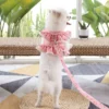 Fresh Cute Pet Floral Chest Strap Lace Traction Rope Teddy Bichon Dog Walking Rope Cat Supplies