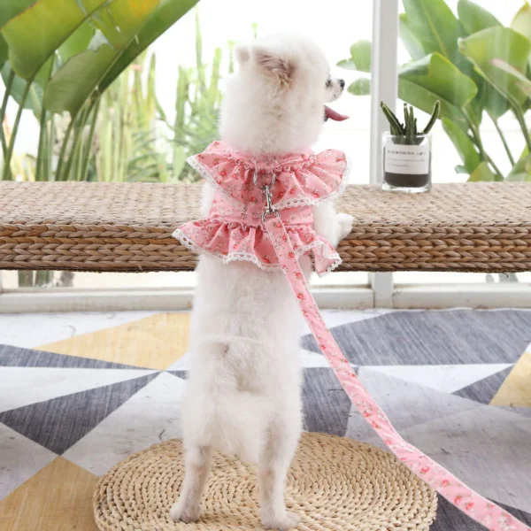 Fresh Cute Pet Floral Chest Strap Lace Traction Rope Teddy Bichon Dog Walking Rope Cat Supplies