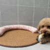 sg-11134201-820nb-mnfhvcb8vjeu02.webp Dog Summer Sleeping Mat Cat Mat Pillow Nest Integrated Scratch-Resistant Anti-Slip Cooling Mat