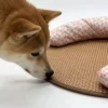 sg-11134201-820nx-mnfhvdm2xtz502.webp Dog Summer Sleeping Mat Cat Mat Pillow Nest Integrated Scratch-Resistant Anti-Slip Cooling Mat