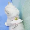 Angel Wings Pet Leash Cat Anti-breakaway Vest Style Leash Dog Kitten Outing Supplies
