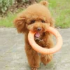 sg-11134301-7rcc8-lt0dyvdl9w1468.webp 1pc Orange Dog Flying Disc – EVA Interactive Training Ring Puller