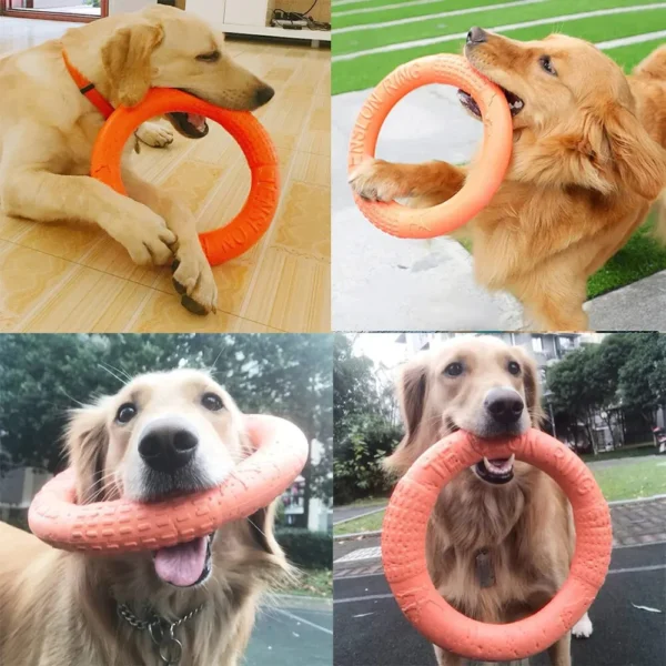 sg-11134301-7rceu-lt0dyvftc8so59.webp 1pc Orange Dog Flying Disc – EVA Interactive Training Ring Puller