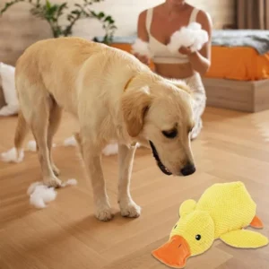 sg-11134301-8261d-mln8m92pb56s9e.webp Gaga Duck Plush Dog Toy – Squeaky Quacking Chew Toy