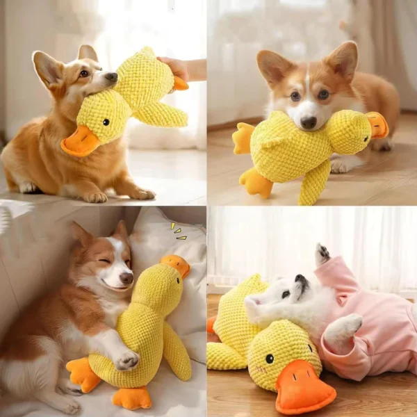 sg-11134301-8261n-mln8m936o7wj0b.webp Gaga Duck Plush Dog Toy – Squeaky Quacking Chew Toy